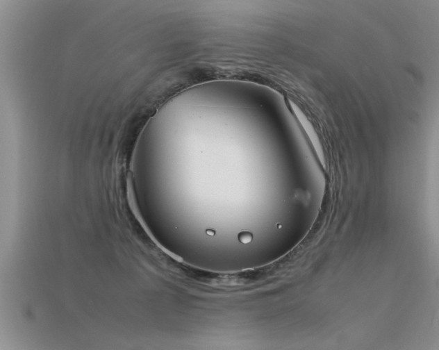 X0000115760225200911131202