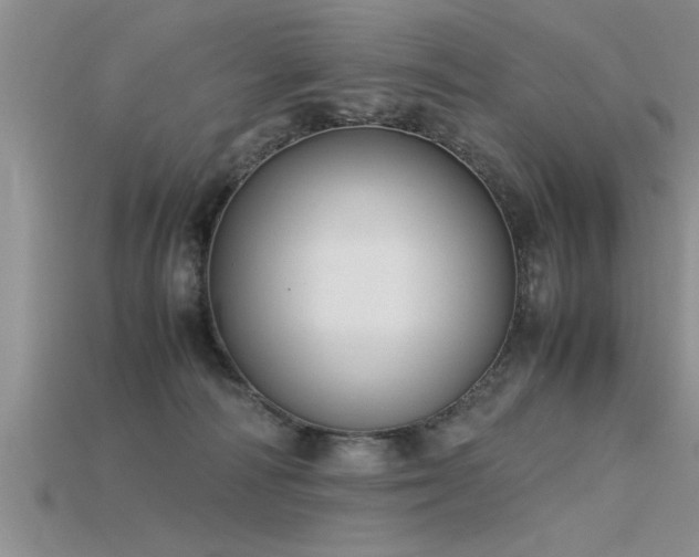 X0000115760226200911131202