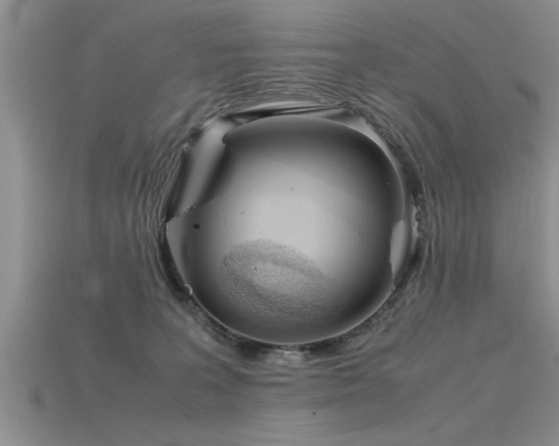 X0000115760227200911131202