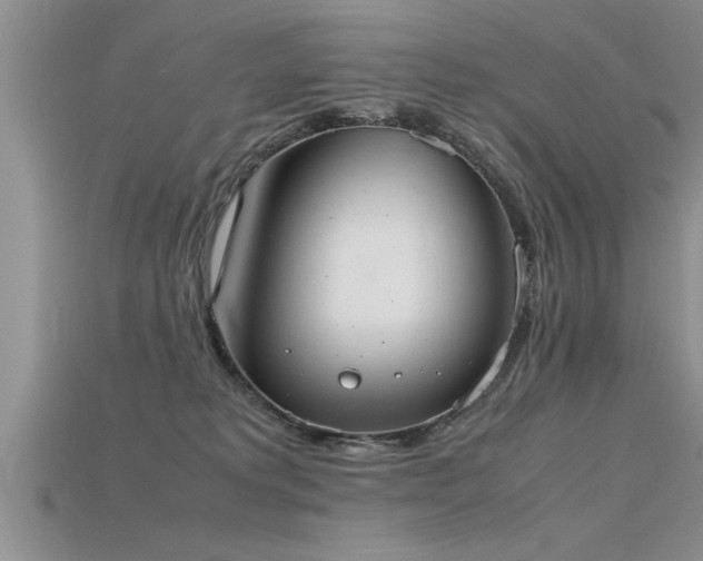 X0000115760229200911131202