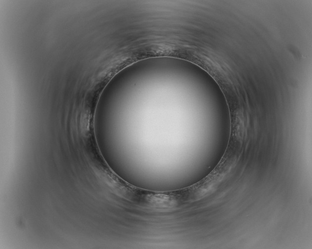 X0000115760230200911131202