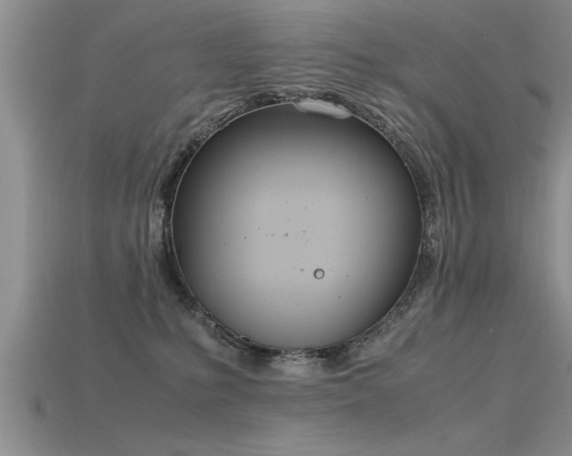 X0000115760231200911131202