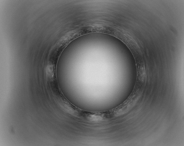 X0000115760232200911131202