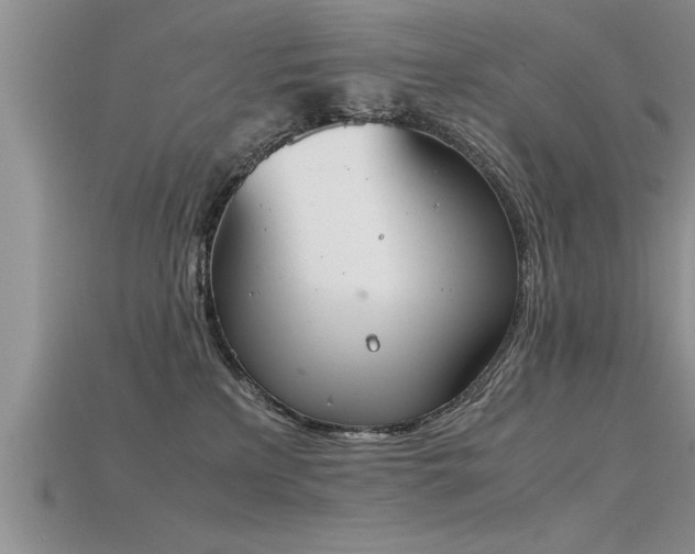 X0000115760233200911131202