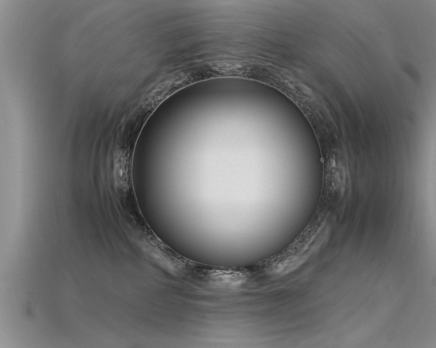 X0000115760234200911131202