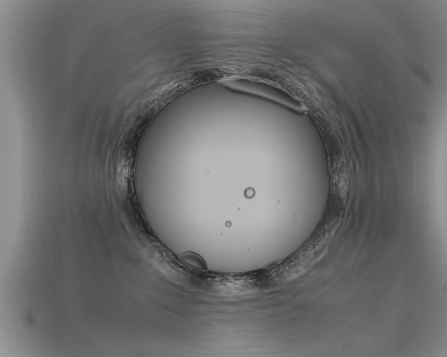 X0000115760235200911131202