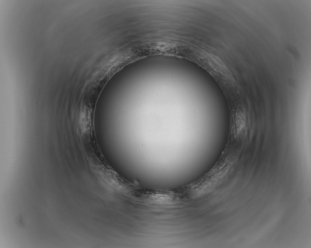 X0000115760236200911131202