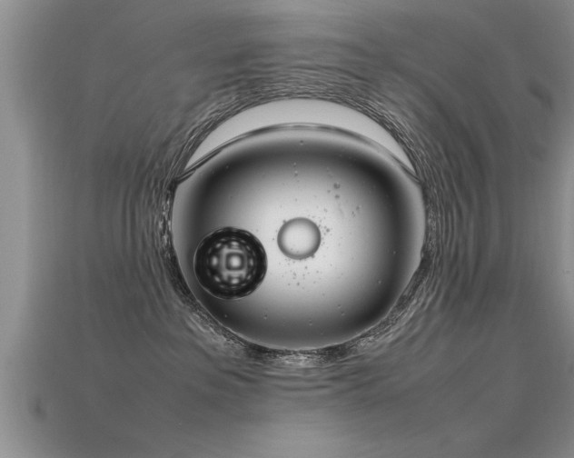 X0000115760237200911131202
