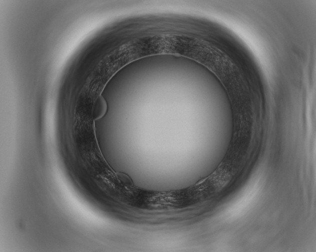 X0000115760239200911131202