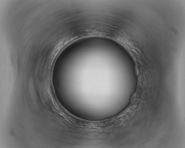 X0000115760241200911131201