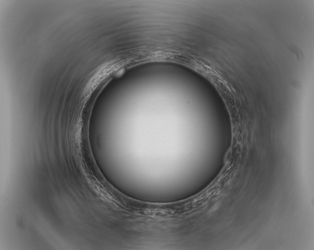 X0000115760242200911131201