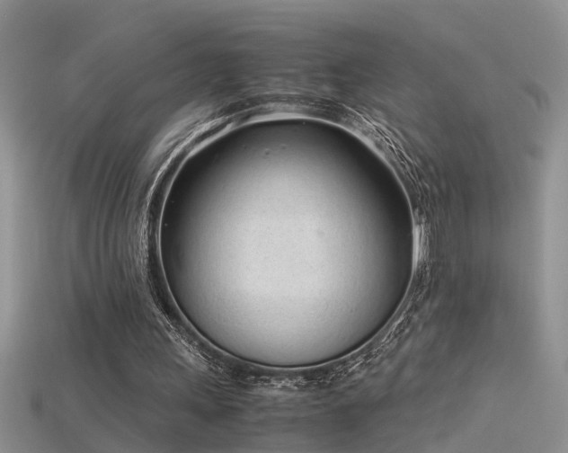 X0000115760243200911131201