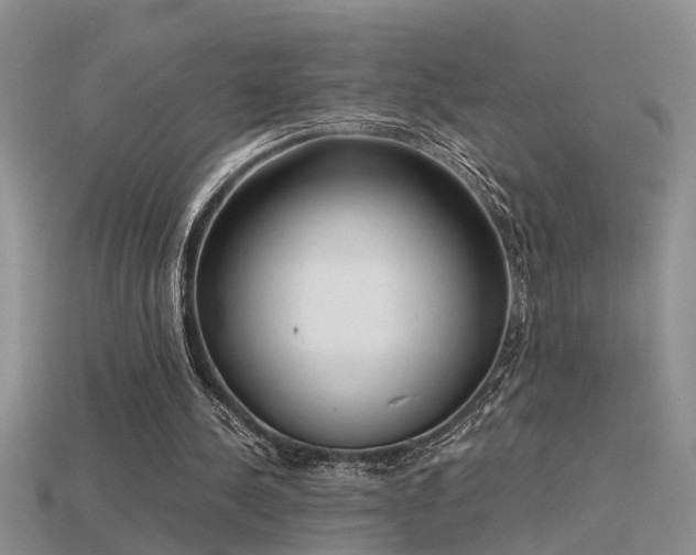 X0000115760244200911131201