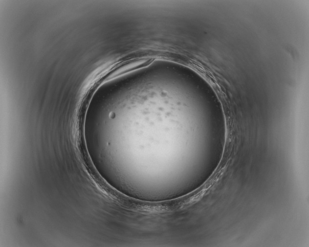 X0000115760245200911131201