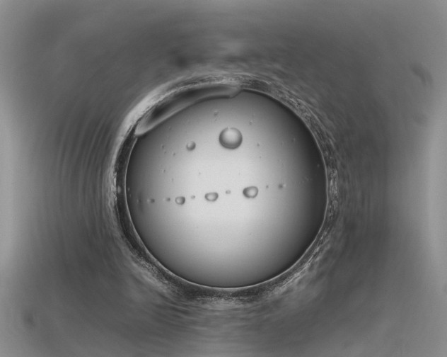 X0000115760246200911131201