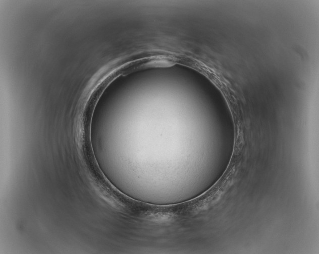 X0000115760247200911131201