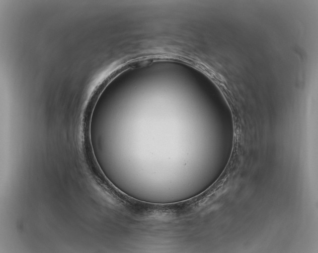 X0000115760248200911131201