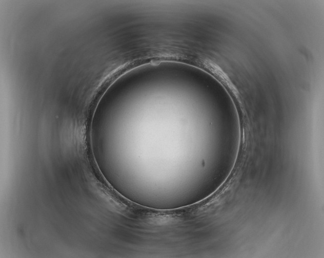 X0000115760249200911131201