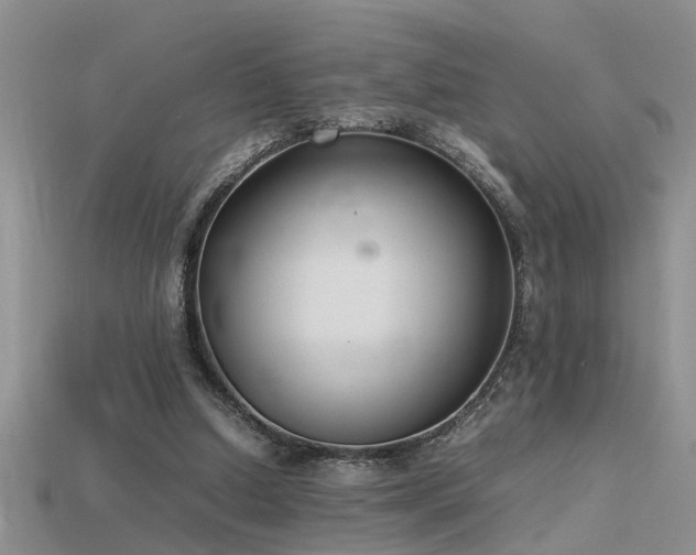 X0000115760250200911131201