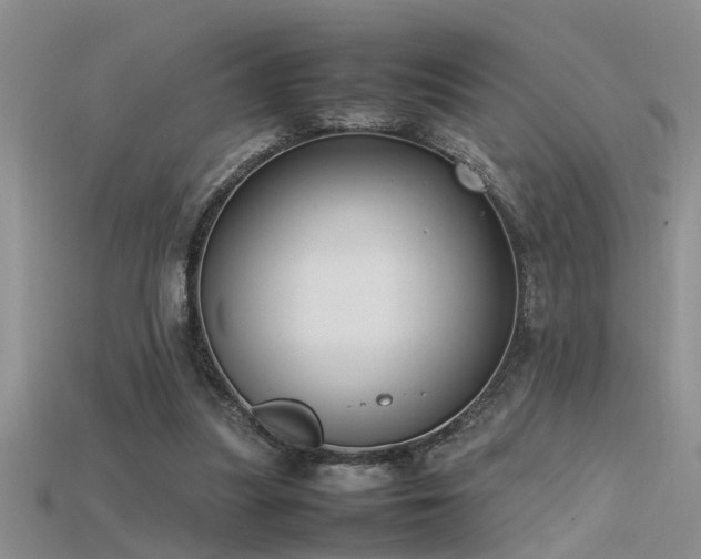 X0000115760251200911131201