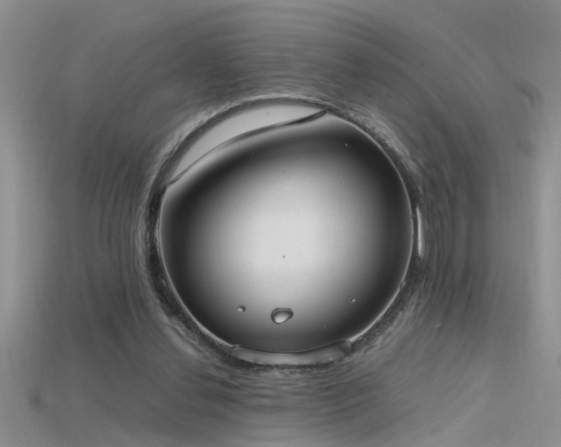 X0000115760252200911131201