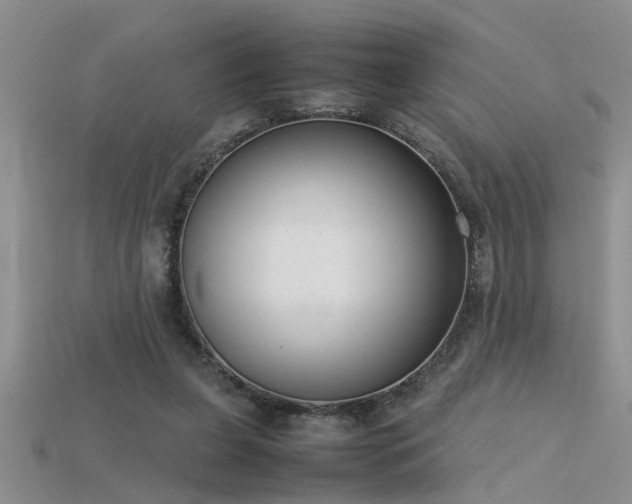 X0000115760255200911131201