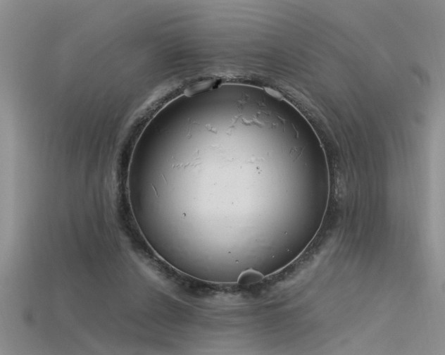 X0000115760256200911131201