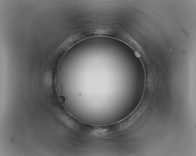 X0000115760257200911131201