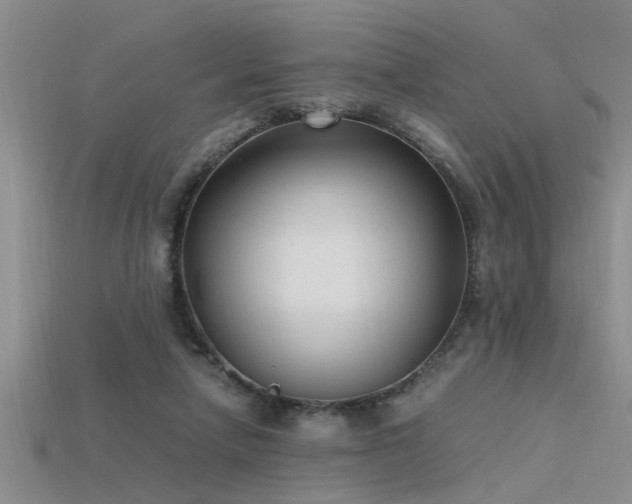 X0000115760258200911131201