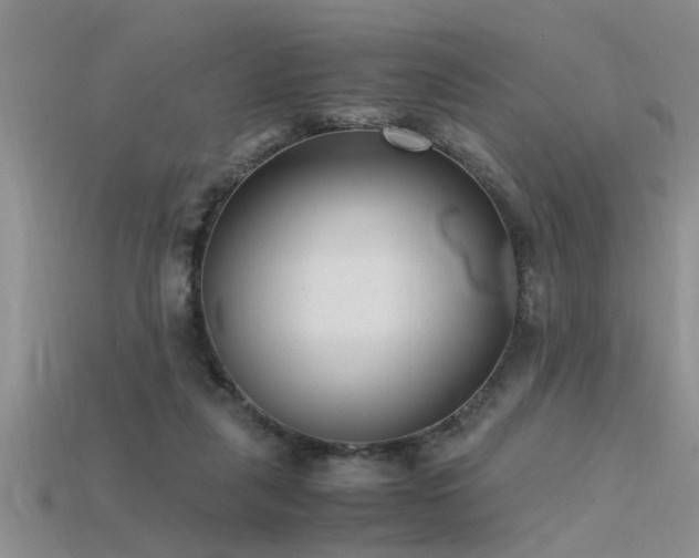 X0000115760259200911131201