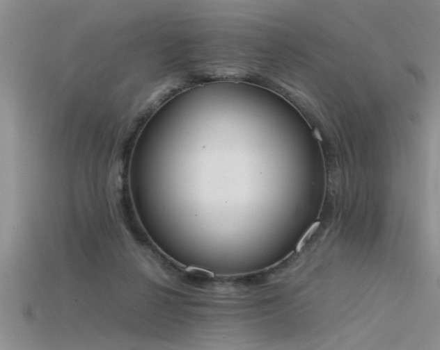 X0000115760264200911131202
