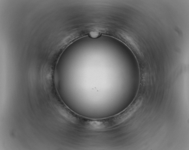 X0000115760265200911131202