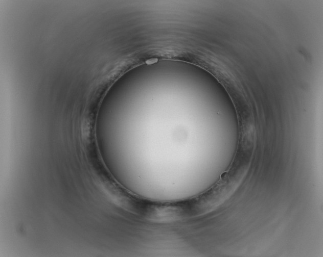 X0000115760268200911131202
