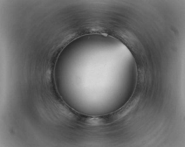 X0000115760269200911131202
