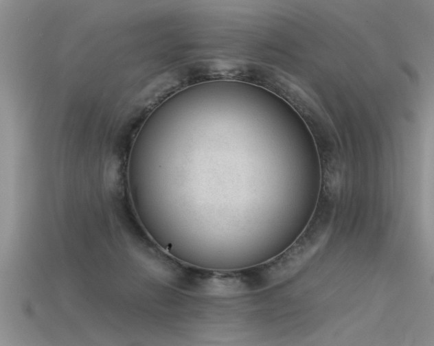X0000115760270200911131202