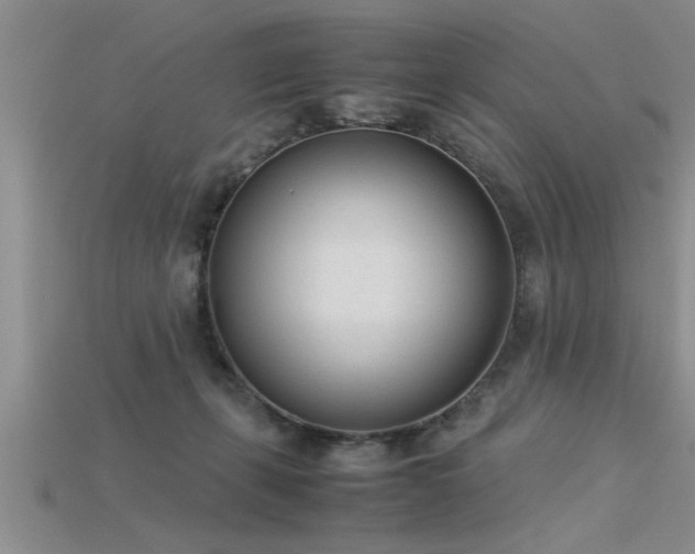 X0000115760271200911131202