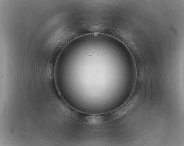 X0000115760273200911131202