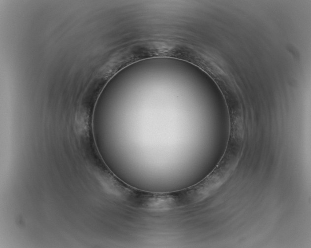 X0000115760274200911131202