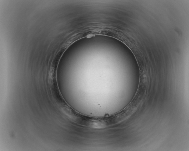 X0000115760275200911131202