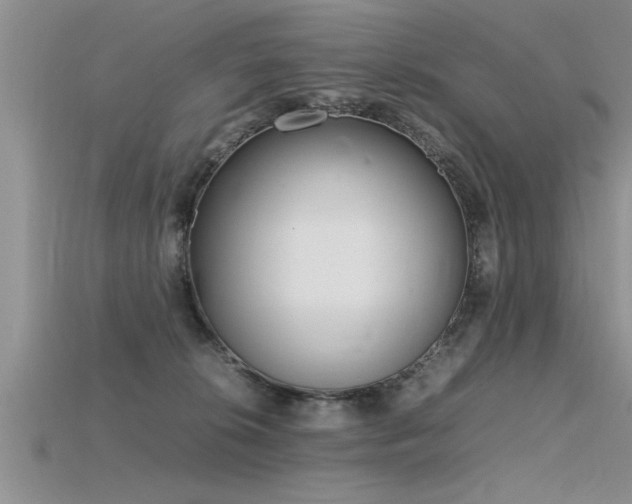 X0000115760276200911131202