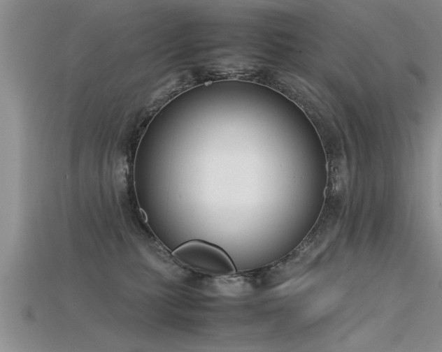X0000115760279200911131202