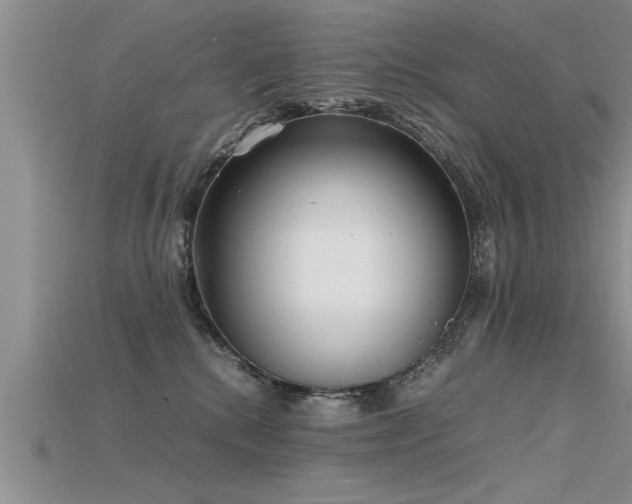X0000115760280200911131202