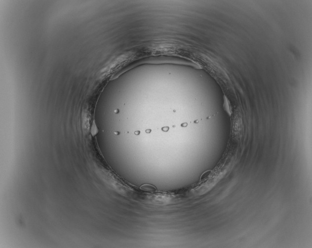 X0000115760282200911131202