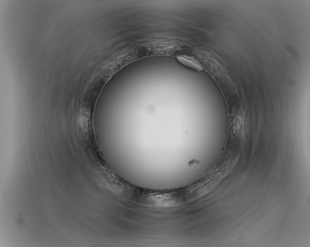 X0000115760283200911131202