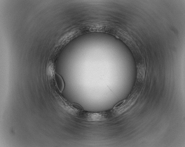 X0000115760287200911131202