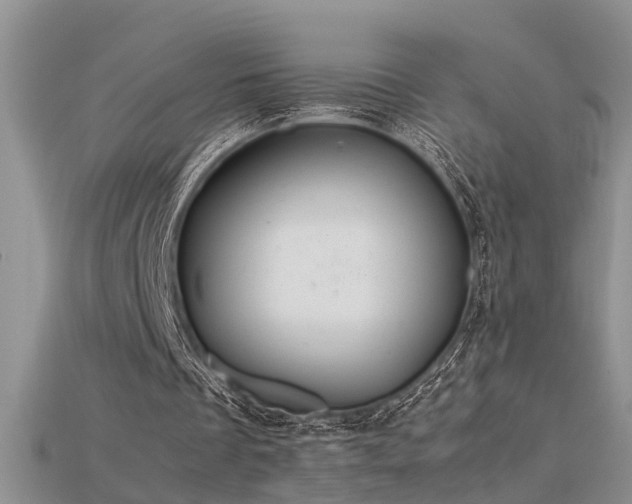 X0000115760289200911131201