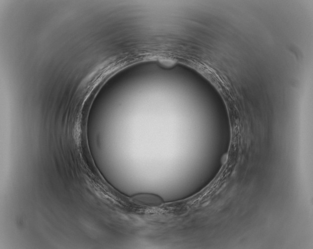 X0000115760290200911131201