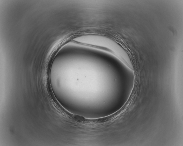 X0000115760293200911131201