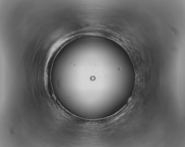 X0000115760294200911131201