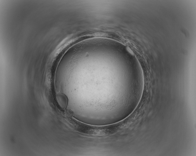 X0000115760295200911131201